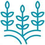 Decoletaje económico y Mecanizado CNC 13 Cliente jabellan agroindustria